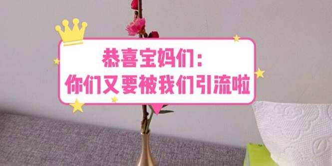 恭喜宝妈们：你们又要被我们引流了（教程+222g资料）-智领未来创业网