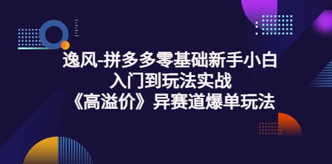拼多多零基础新手小白入门到玩法实战《高溢价》异赛道爆单玩法实操课-智领未来创业网
