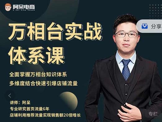阿呆-万相台实战体系课，帮您全面掌握万相台知识体系-智领未来创业网