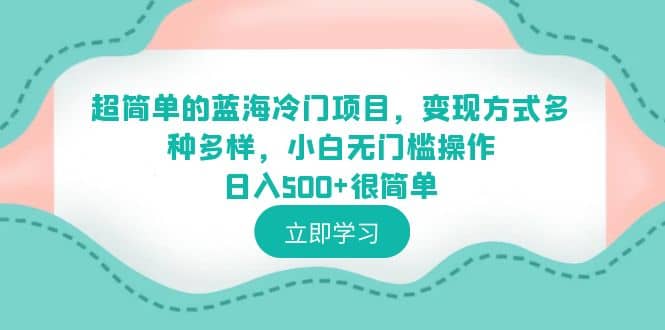 超简单的蓝海冷门项目，变现方式多种多样，小白无门槛操作日入500+很简单-智领未来创业网