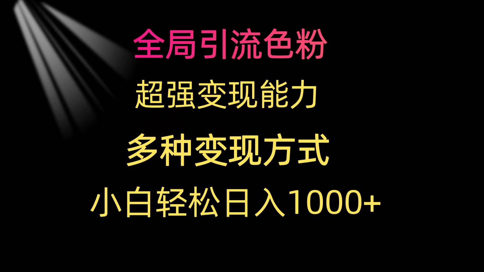 全局引流色粉 超强变现能力 多种变现方式 小白轻松日入1000+-智领未来创业网