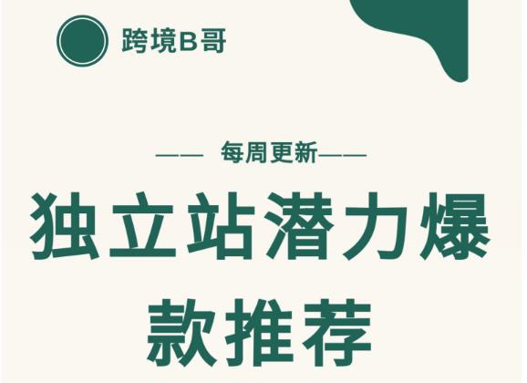 【跨境B哥】独立站潜力爆款选品推荐，测款出单率高达百分之80（每周更新）-智领未来创业网