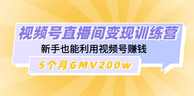 视频号直播间变现训练营-智领未来创业网