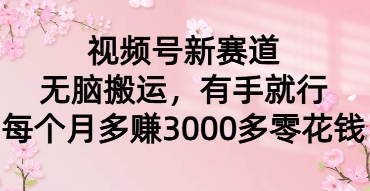 视频号新赛道，无脑搬运，有手就行，每个月多赚3000多零花钱-智领未来创业网