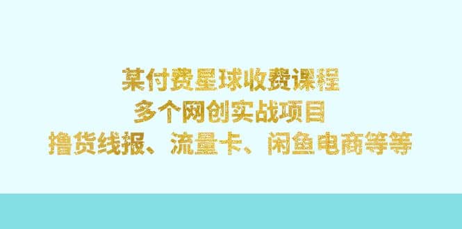 某付费星球课程：多个网创实战项目，撸货线报、流量卡、闲鱼电商等等-智领未来创业网