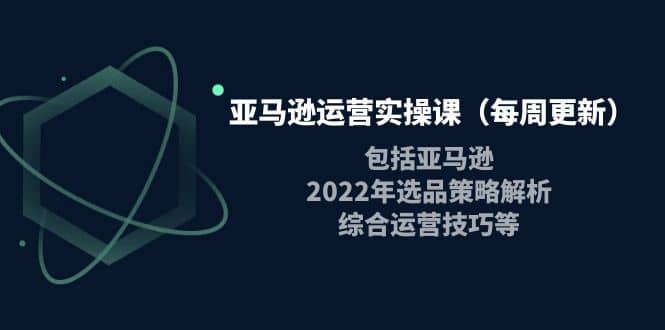 亚马逊运营实操课（每周更新）包括亚马逊2022选品策略解析，综合运营技巧等-智领未来创业网