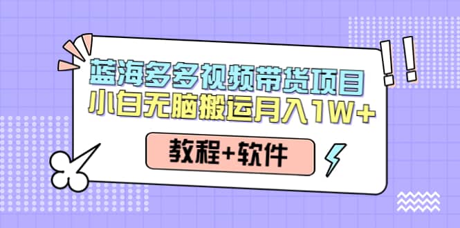 人人都能操作的蓝海多多视频带货项目 小白无脑搬运（教程+软件）-智领未来创业网