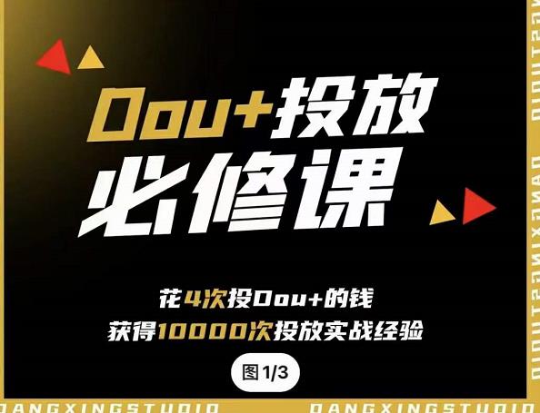 代同学DOU+投放训练营，用付费流量撬动大额自然流量，过得超额变现转化-智领未来创业网