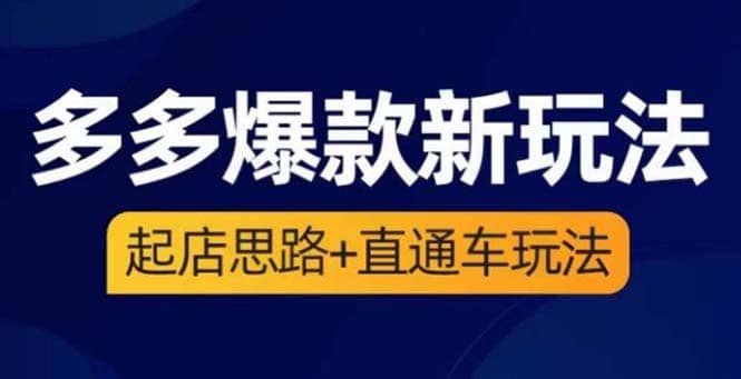 2023拼多多爆款·新玩法：起店思路+直通车玩法（3节精华课）-智领未来创业网
