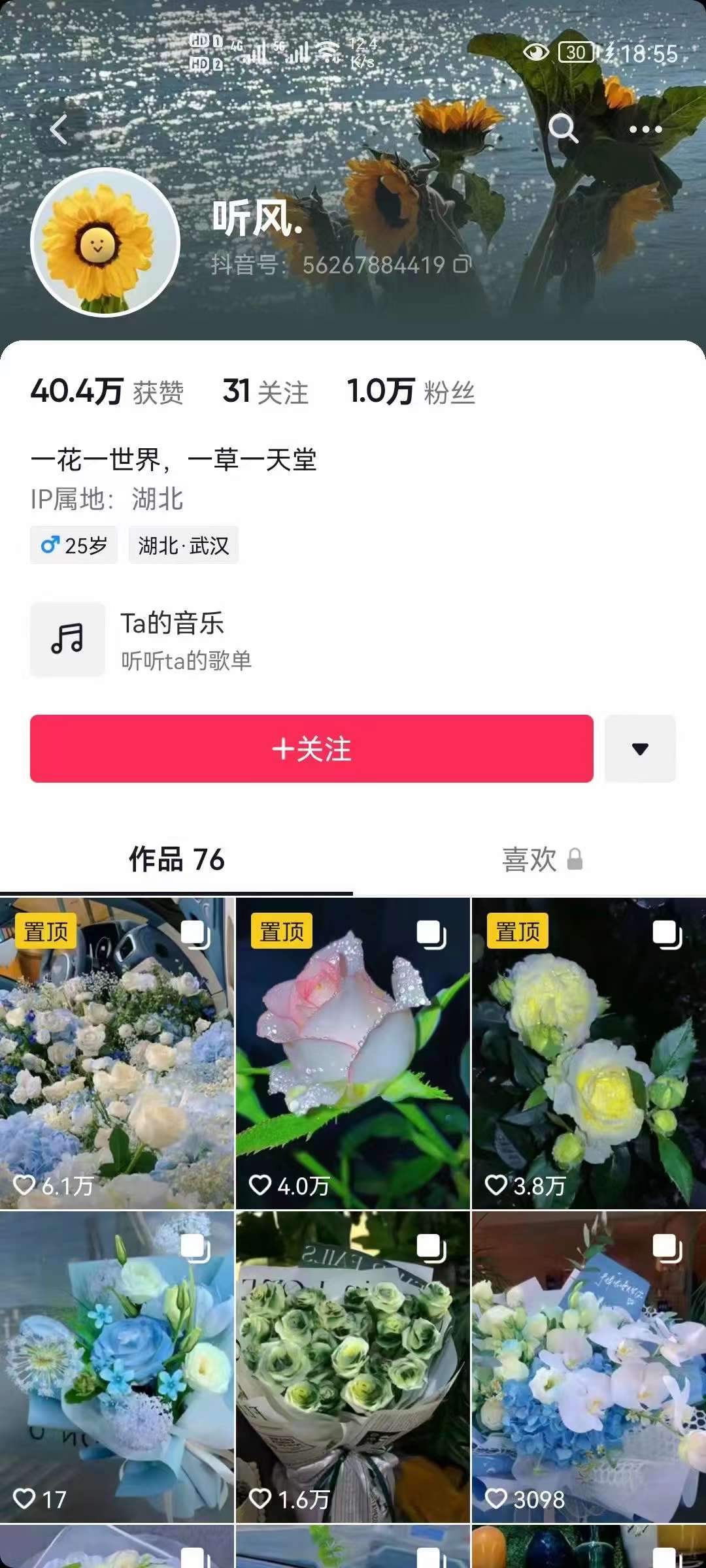 图片[2]-抖音壁纸变现项目：实战日入380+发布壁纸素材获取收益！-智领未来创业网