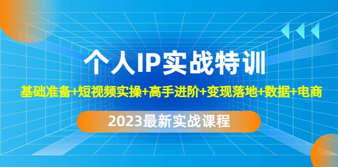 2023个人IP实战特训：基础准备+短视频实操+高手进阶+变现落地+数据+电商-智领未来创业网