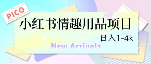 最新小红书情趣用品项目，日入1-4k-智领未来创业网