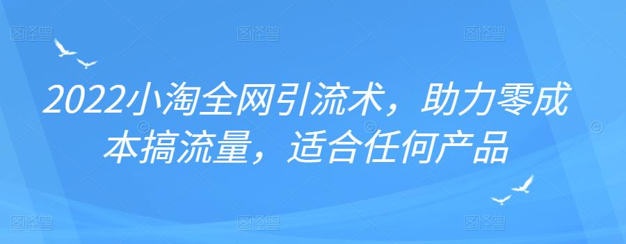 2022年小淘全网引流术，助力零成本搞流量，适合任何产品-智领未来创业网