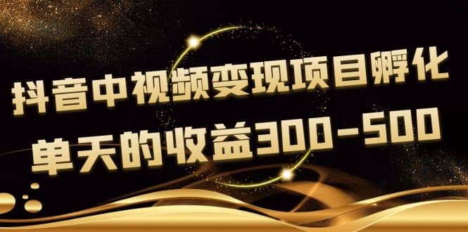 黄岛主《抖音中视频变现项目孵化》单天的收益300-500 操作简单粗暴-智领未来创业网