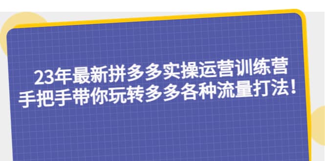 23年最新拼多多实操运营训练营：手把手带你玩转多多各种流量打法！-智领未来创业网