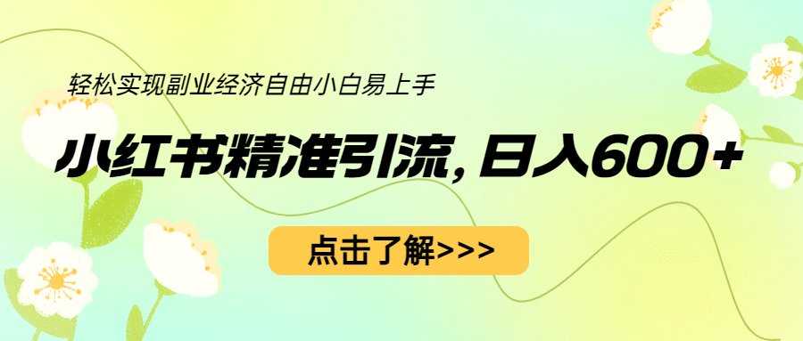 小红书精准引流，小白日入600+，轻松实现副业经济自由（教程+1153G资源）-智领未来创业网
