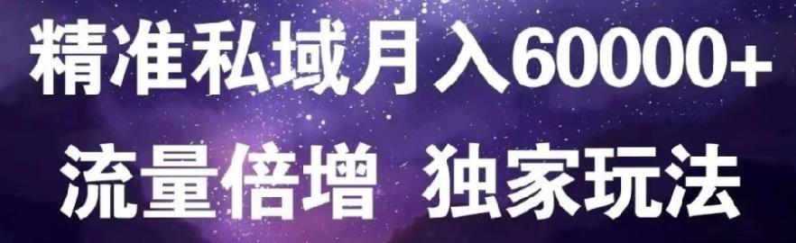 原力网赚精准私域月入60000+,流量倍增独家玩法-智领未来创业网
