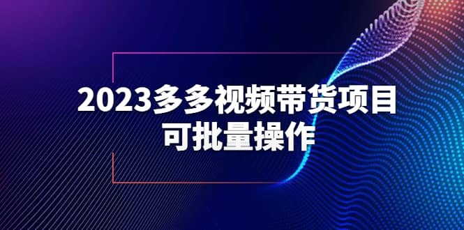 2023多多视频带货项目，可批量操作【保姆级教学】-智领未来创业网
