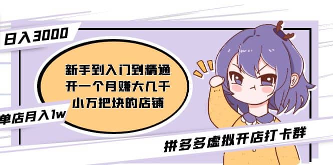 拼多多虚拟开店打卡群：新手到入门到精通-智领未来创业网