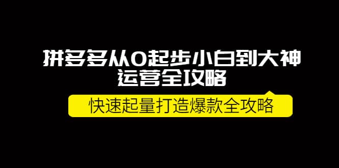 拼多多从0起步小白到大神运营全攻略-智领未来创业网