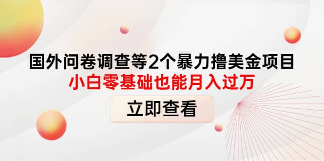 国外问卷调查等2个暴力撸美元项目，小白零基础也能月入过万-智领未来创业网