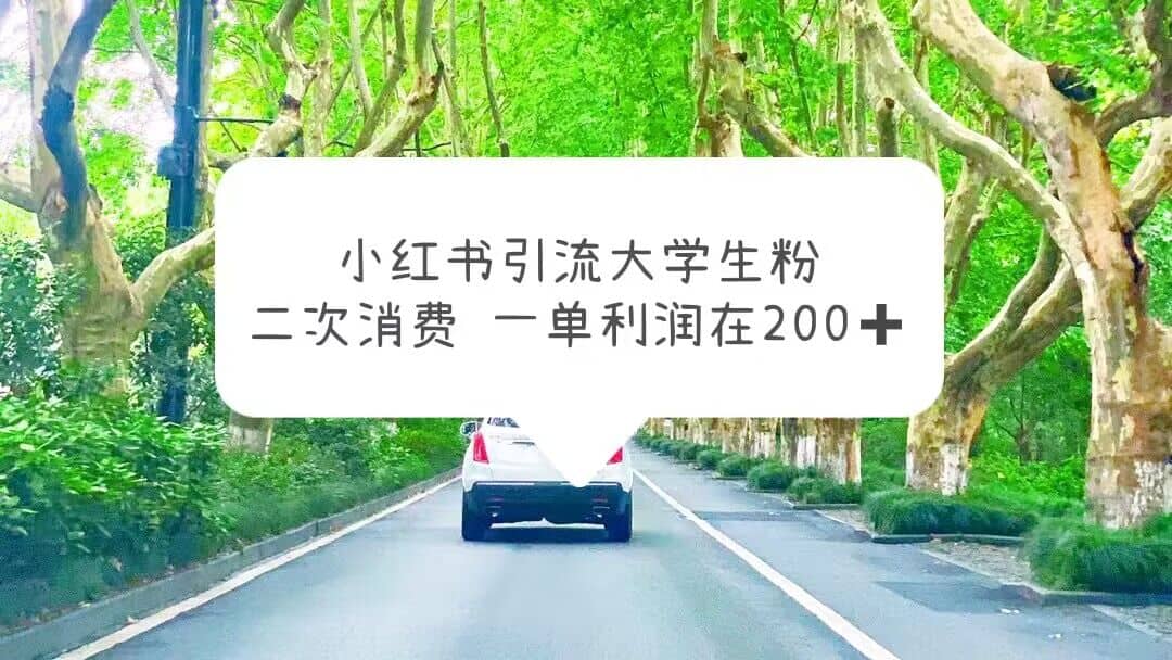 小红书引流大学生粉，变现项目，一单利润在200+（教程+资源）-智领未来创业网