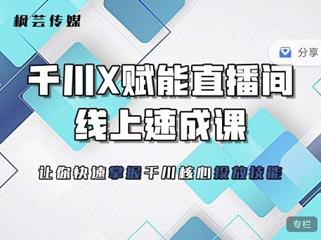 枫芸传媒-线上千川提升课，提升千川认知，提升千川投放效果-智领未来创业网