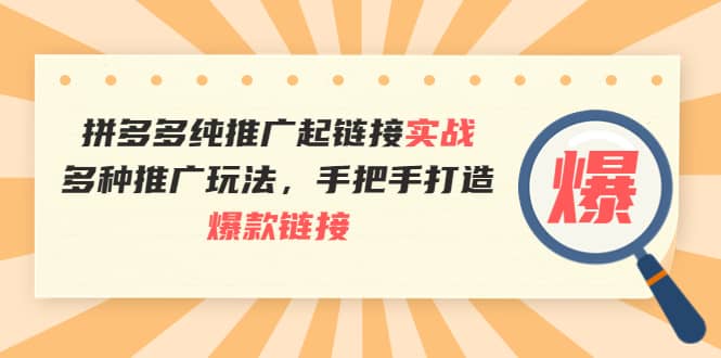 拼多多纯推广起链接实战：多种推广玩法，手把手打造爆款链接-智领未来创业网