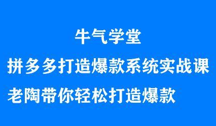 牛气学堂拼多多打造爆款系统实战课，老陶带你轻松打造爆款-智领未来创业网
