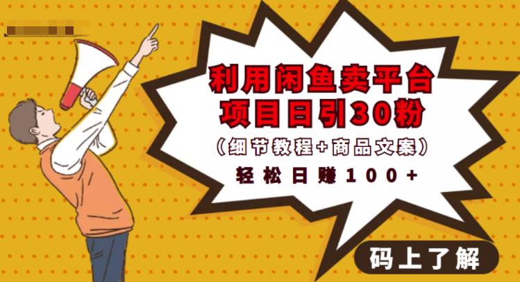 利用闲鱼卖平台项目课程资源日引流30+精准粉丝，轻松日赚100+，积累人脉可实现二次变现（细节教程+商品文案）-智领未来创业网