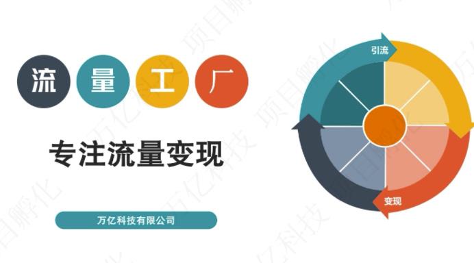 收费3980的流量工厂回粉项目，号称1个粉10元【详细玩法教程解析】-智领未来创业网