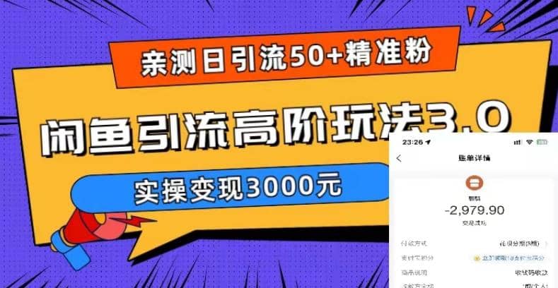 实测日引50+精准粉，闲鱼引流高阶玩法3.0，实操变现3000元-智领未来创业网