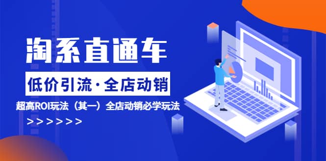 淘系直通车《低价·引流 全店·动销》超高ROI玩法（其一）全店动销必学玩法-智领未来创业网