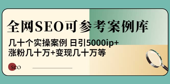 《全网SEO可参考案例库》几十个实操案例-智领未来创业网