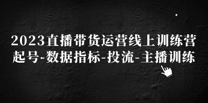 2023直播带货运营线上训练营，起号-数据指标-投流-主播训练-智领未来创业网