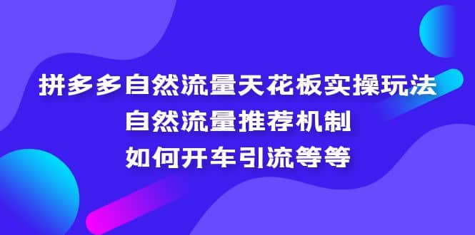 拼多多自然流量天花板实操玩法：自然流量推荐机制，如何开车引流等等-智领未来创业网