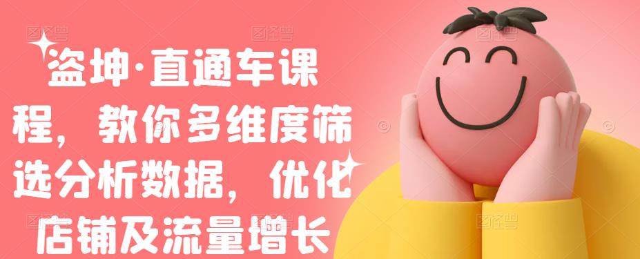 盗坤·直通车课程，教你多维度筛选分析数据，优化店铺及流量增长-智领未来创业网