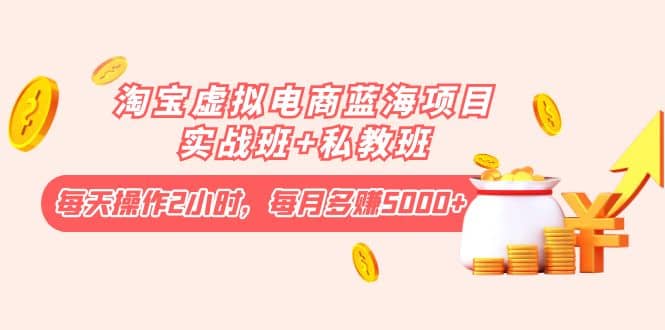 淘宝虚拟电商蓝海项目实战班+私教班-智领未来创业网