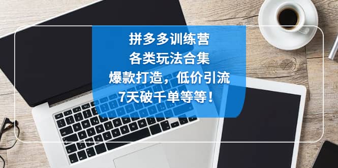 拼多多训练营：各玩法合集，爆款打造，低价引流，7天破千单等等-智领未来创业网