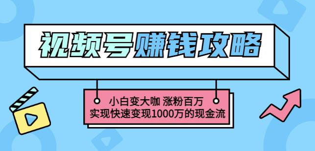 玩转微信视频号赚钱：小白变大咖涨粉百万实现快速变现1000万的现金流-智领未来创业网