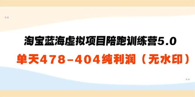 淘宝蓝海虚拟项目陪跑训练营5.0：单天478纯利润（无水印）-智领未来创业网