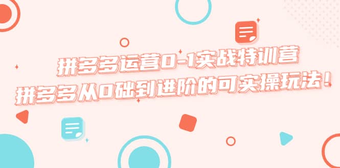 拼多多运营0-1实战特训营，拼多多从0础到进阶的可实操玩法-智领未来创业网