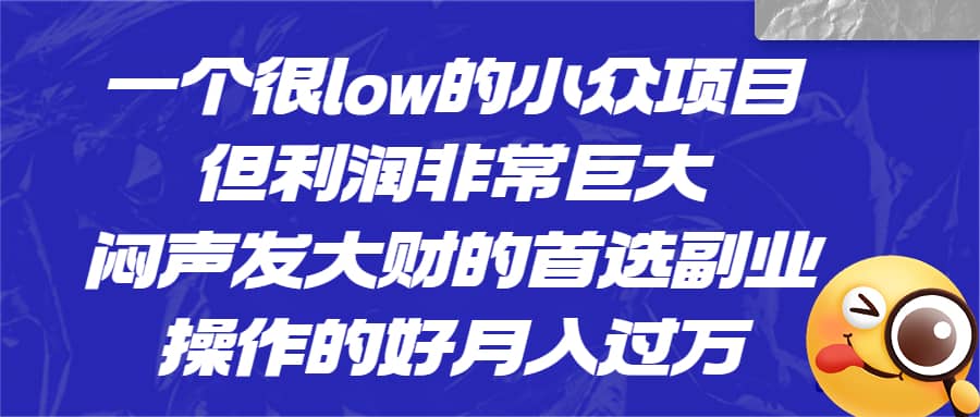 一个很low的小众项目，但利润非常巨大，闷声发大财的首选副业，月入过万-智领未来创业网
