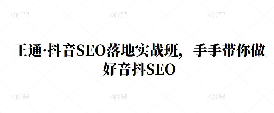 王通·抖音SEO落地实战班，手‬手带你做好音抖‬‬SEO-智领未来创业网