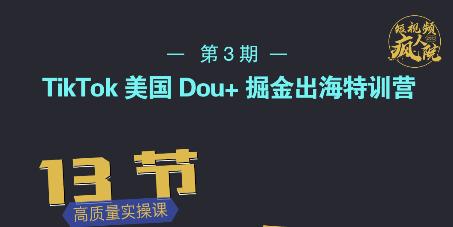 TikTok美国Dou+掘金出海特训营，美国dou+成功投放95%-智领未来创业网