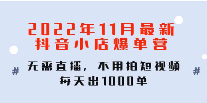 2022年11月最新抖音小店爆单训练营：无需直播，不用拍短视频，每天出1000单-智领未来创业网