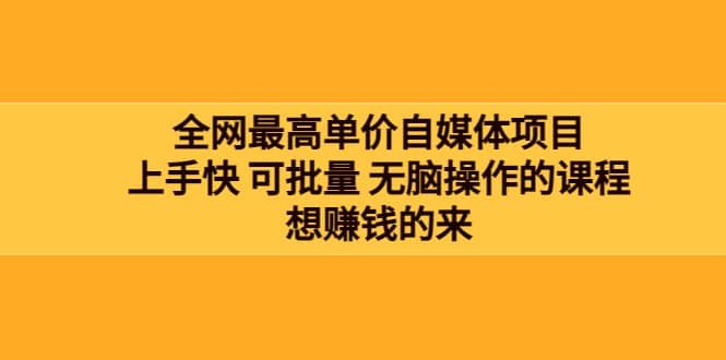 全网最单高价自媒体项目：上手快 可批量 无脑操作的课程，想赚钱的来-智领未来创业网