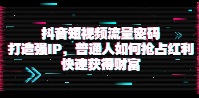 抖音短视频流量密码：打造强IP，普通人如何抢占红利，快速获得财富-智领未来创业网