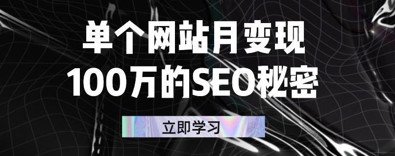 单个网站月变现100万的SEO秘密，百分百做出赚钱站点-智领未来创业网