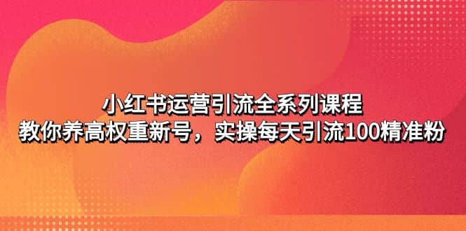 小红书运营引流全系列课程：教你养高权重新号-智领未来创业网